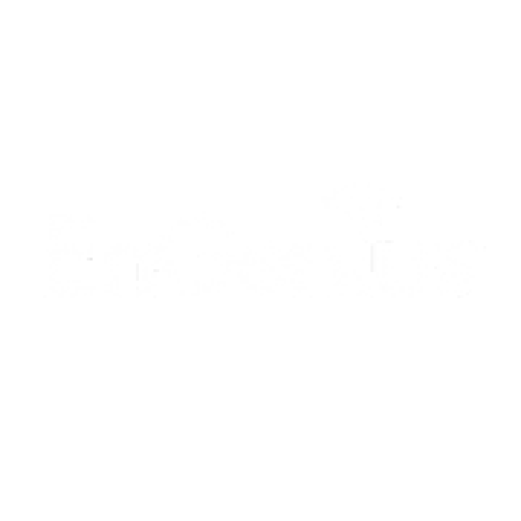 EST Engenius